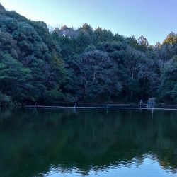 岸際のブラウンを狙い撃て ～岡崎トラウトポンド～